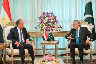 وزيرا خارجية مصر وباكستان يبحثان سبل تعزيز العلاقات الثنائية والتطورات الإقليمية 12 almomken.com 57b6d26d