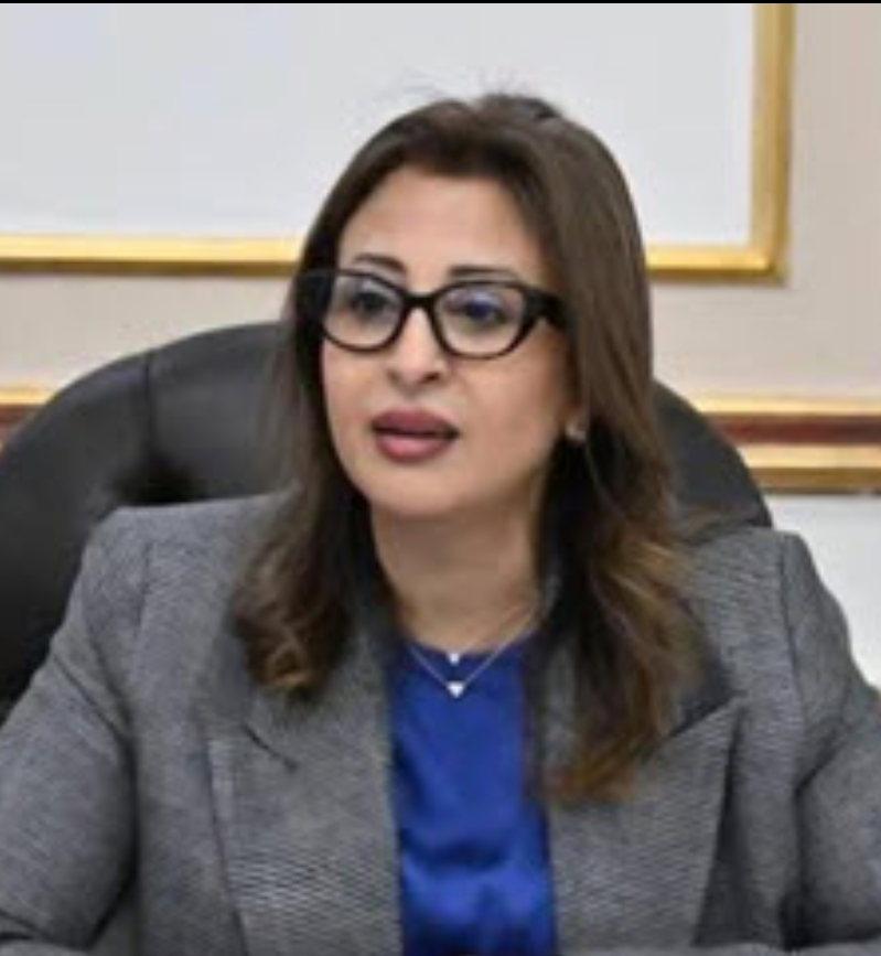 غادة عبد الباري أمينًا لـمجلس شئون فروع الجامعات الأجنبية