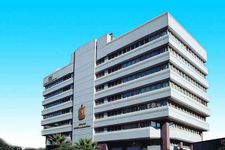خبير تربوى يتحدث عن أهمية القراءة والكتابة قبل تطوير المهارات  