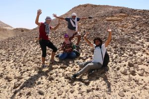 توثيق أول دليل حفري مؤكد لوجود التيروصورات في مصر يعود إلى أكثر من 95 مليون عام