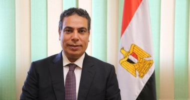 د.عادل عبدالغفار، المستشار الإعلامي والمتحدث الرسمي