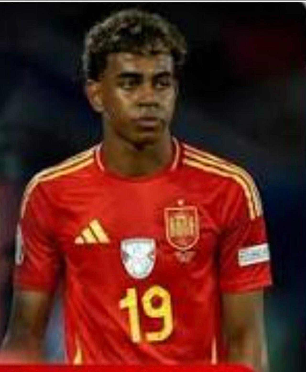 اسبانيا بطلا لكأس العالم بعد التغلب على الارجنتين بطل العالم فى الدورة السابقة 4 almomken.com 4585387a