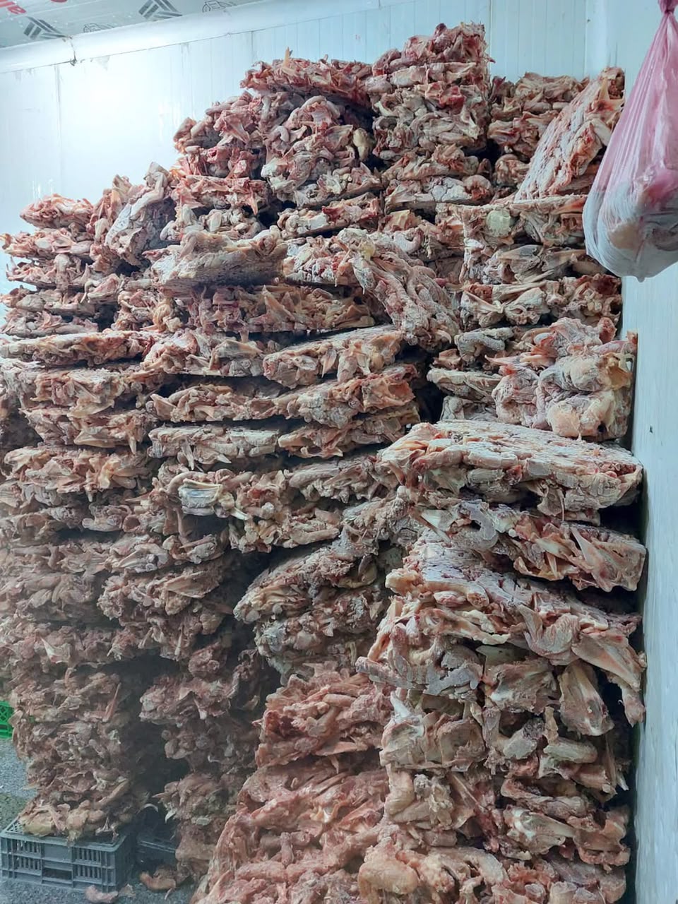 almomken.com 85428c4a