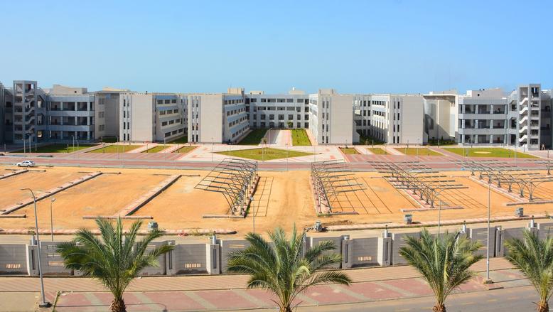 شخصيات جامعية ..الدكتور حمدان ربيع رئيس جامعة دمياط.. ريادة عالمية تُرسخ قيم الدستور والقانون 4 جامعة دمياط صرح علمى على البحر المتوسط