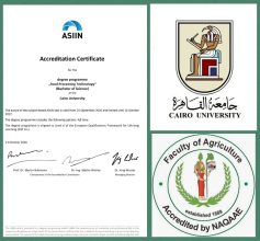 almomken.com ac2c0398