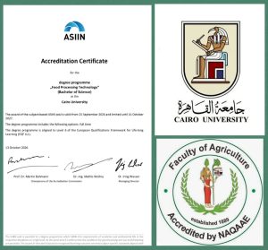 almomken.com ac2c0398
